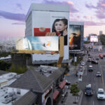 DonJulioHotel Ziggy 